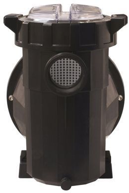 AstralPool Victoria Plus Silent, 11 м&sup3;/год насос для басейну 65560 фото