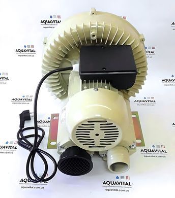 Компрессор для бассейна Aquant 2RB-510 6979 фото