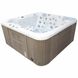 IQUE Dreamline-II 2200-II-DD-BP (Wi-Fi) Brushed walnut гідромасажний SPA басейн (джакузі) 26053 фото 1