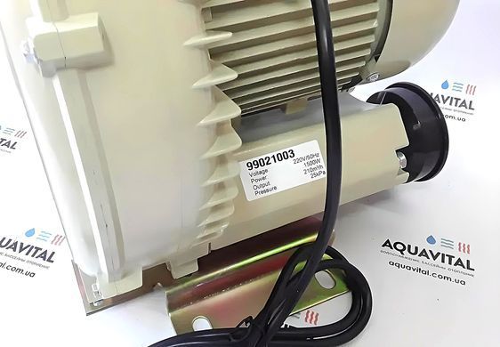 Компрессор для бассейна Aquant 2RB-610 2005 фото