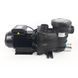 Hayward Powerline 81005E2 IE2, 13 м&sup3;/год насос для басейну 34658 фото 9