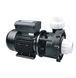 Aquaviva LX LP300M, 35 м&sup3;/год насос для басейну 15059 фото 2