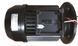 PG Streamer-R 300TR, 36 м&sup3;/год насос для басейну (380В) PG-0111STRN300TR фото 9