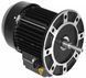 Gemas PG Flooder Flo 450T насос для басейну PG-0111FLO45 фото 4