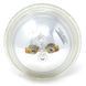 Лампа светодиодная PG 0531201 LED RGB, 15 Вт PG-0531201 фото 3