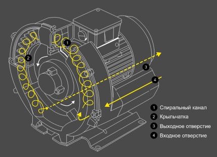 Одноступенчатый компрессор для бассейна Grino Rotamik SKH 300 T1.B, 312 м³/ч, 3 фазы 23514 фото