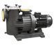 Saci Magnus 4-300, IE3,43 м&sup3;/год насос для басейну (380В) 24101201 фото 1