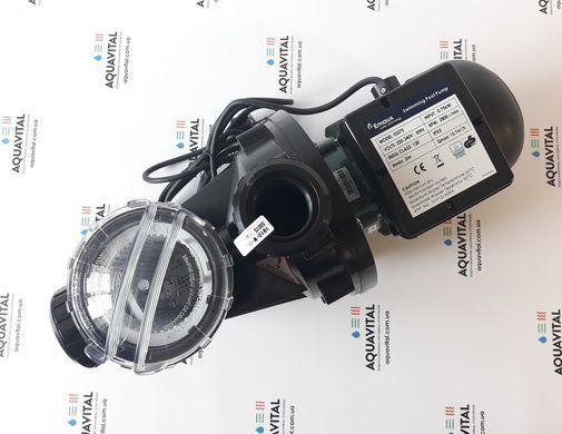 Emaux SS075, 13 м&sup3;/ч насос для бассейна 5482 фото