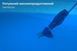 Water Tech Pool Blaster MAX CG ручной пылесос для бассейна 6996 фото 21