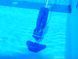 Water Tech Pool Blaster MAX CG ручной пылесос для бассейна 6996 фото 18