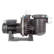 Pentair 5P6R STA-RITE, 16 м&sup3;/ч насос для бассейна (380В), для морской воды SW5P6RD-3 фото 3
