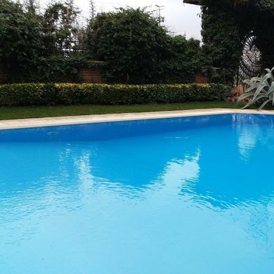 Cefil лайнер для басейну Urdike (синій) 1,65 х 25,2 м 4099del фото