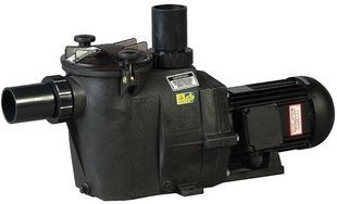 Hayward RS II RS3011EV1, 17 м&sup3;/ч насос для бассейна 18269 фото
