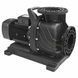 Aquaviva LX WLP300T, 38 м&sup3;/год насос для басейну (380В) 32599 фото 1