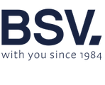 BSV Electronic логотип