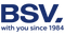 BSV  логотип