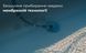 Kokido K905CBX ручной пылесос для бассейна 25284 фото 34