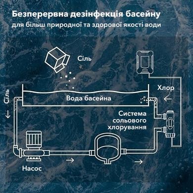 Bridge SQ40 (20 г/год) хлоргенератор для басейну SQ40 фото