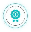 Icon 1