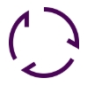 Icon 2