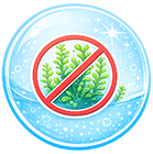 Против водорослей