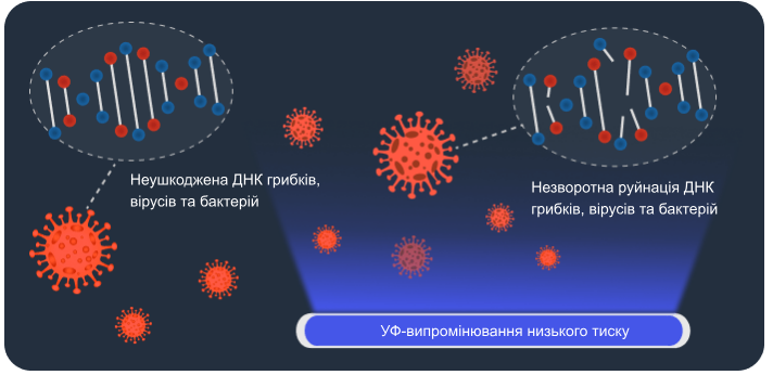 Ефективна та надійна дезінфекція