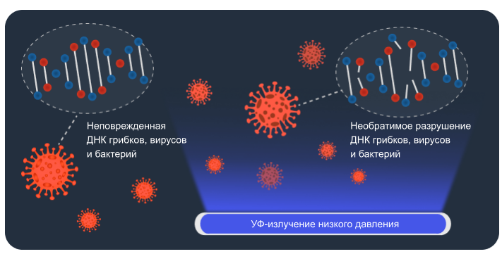 Эффективная и надежная дезинфекция